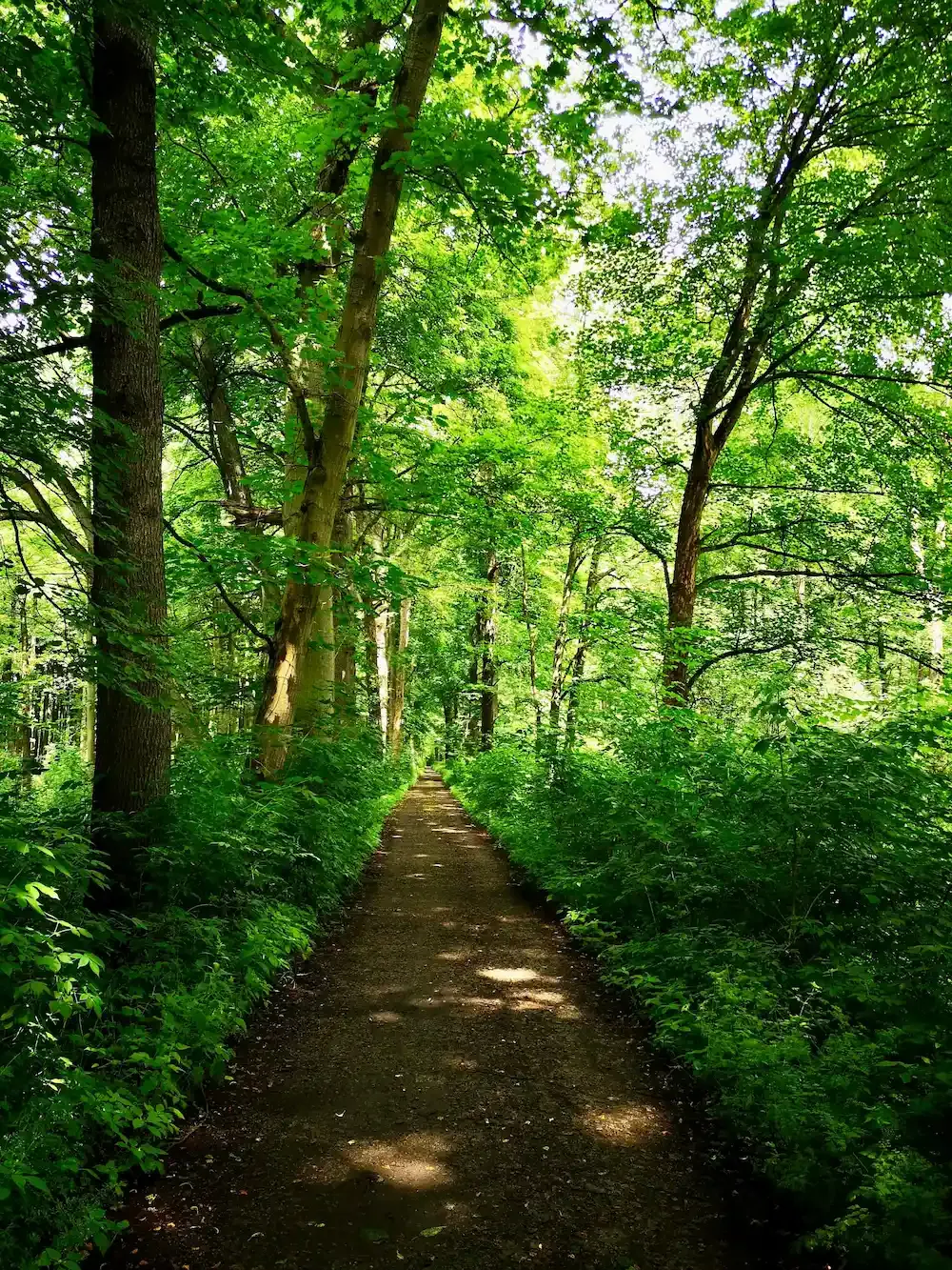 Lebensberatung - innere Ruhe und Klarheit finden